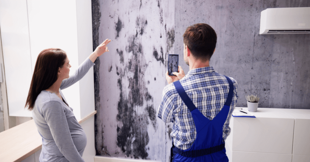 Indoor Air Quality Testing